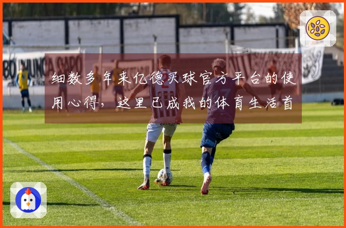 细数多年来亿德买球官方平台的使用心得，这里已成我的体育生活首选。