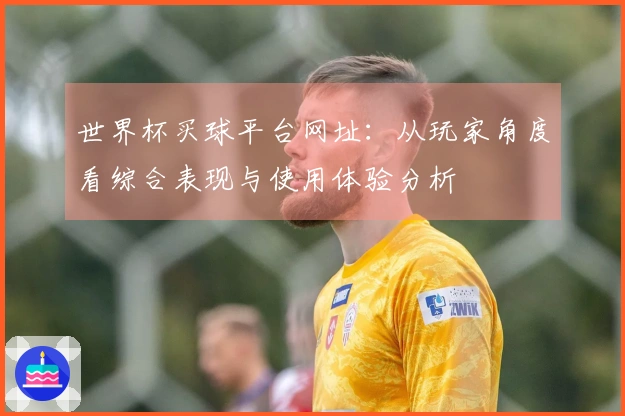世界杯买球平台网址：从玩家角度看综合表现与使用体验分析