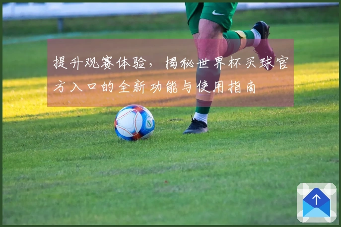提升观赛体验，揭秘世界杯买球官方入口的全新功能与使用指南