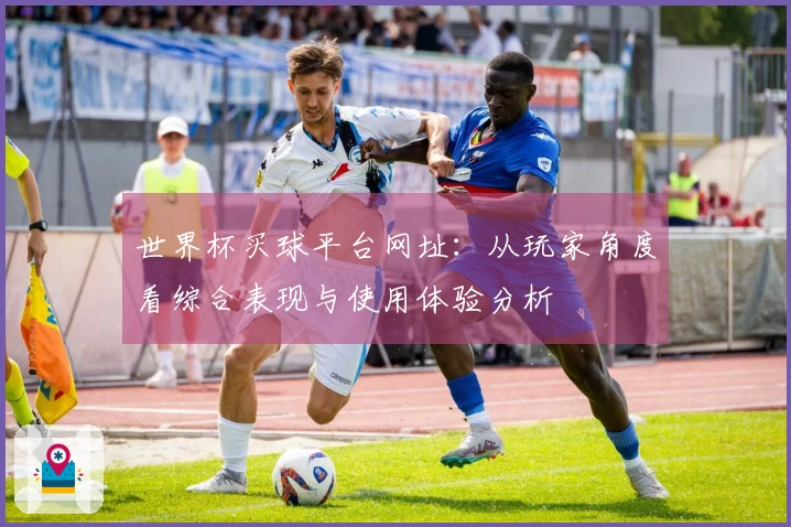 世界杯买球平台网址：从玩家角度看综合表现与使用体验分析