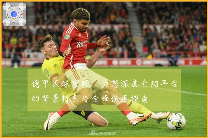 德甲买球官网：为您深度介绍平台的背景特色与全面使用指南