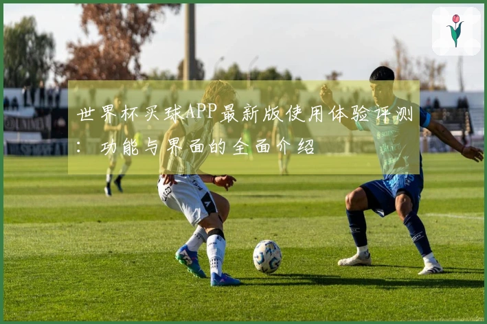 世界杯买球APP最新版使用体验评测：功能与界面的全面介绍