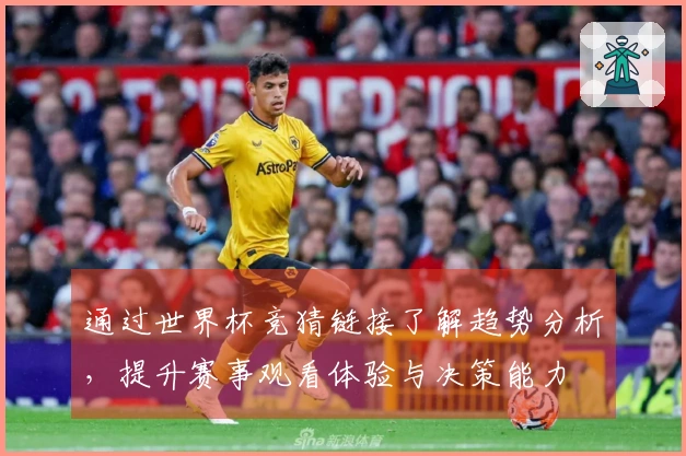 通过世界杯竞猜链接了解趋势分析，提升赛事观看体验与决策能力