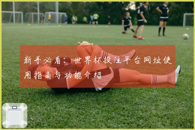 新手必看：世界杯投注平台网址使用指南与功能介绍