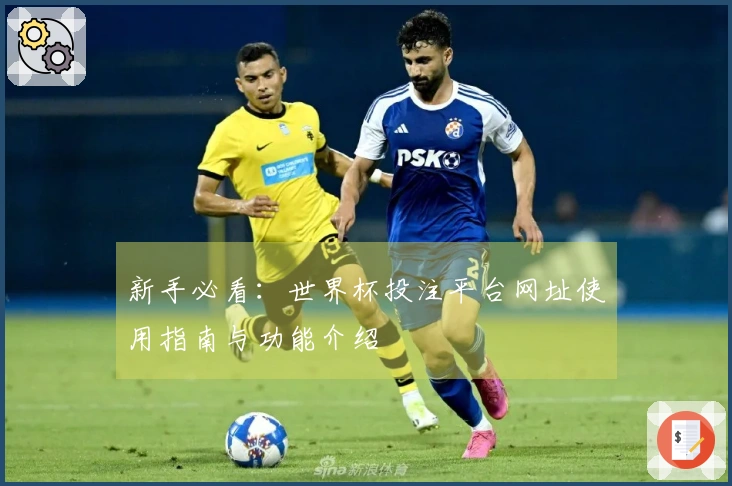 新手必看：世界杯投注平台网址使用指南与功能介绍