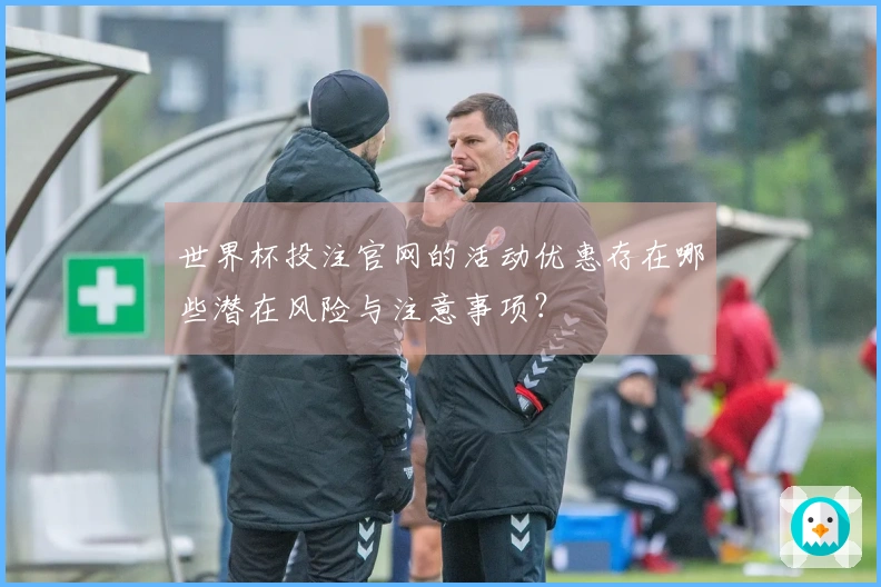 世界杯投注官网的活动优惠存在哪些潜在风险与注意事项？