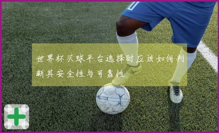 世界杯买球平台选择时应该如何判断其安全性与可靠性