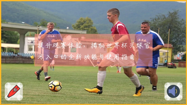 提升观赛体验，揭秘世界杯买球官方入口的全新功能与使用指南