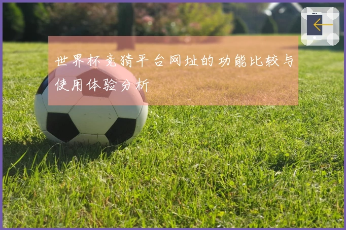 世界杯竞猜平台网址的功能比较与使用体验分析