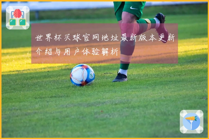 世界杯买球官网地址最新版本更新介绍与用户体验解析