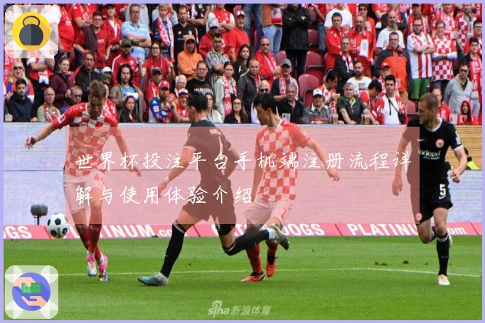 世界杯投注平台手机端注册流程详解与使用体验介绍