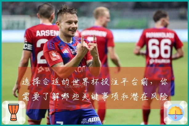 选择合适的世界杯投注平台前，你需要了解哪些关键事项和潜在风险
