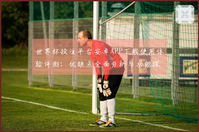 世界杯投注平台安卓APP下载使用体验评测：优缺点全面分析与功能探索